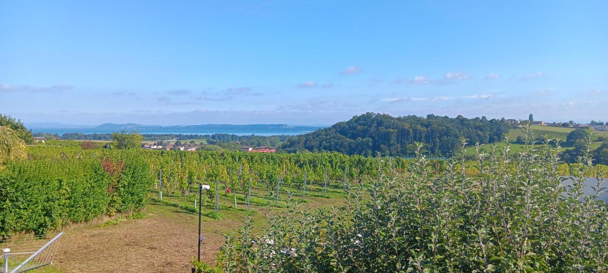 Villa De Charme Elegante, Calme, Nature Boudry Exterior foto